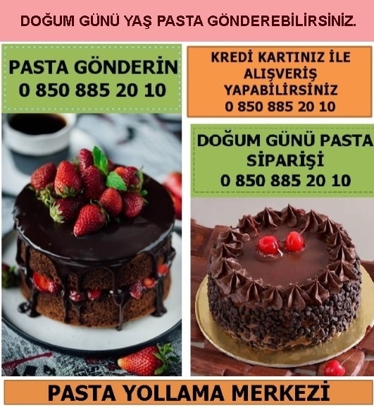 Kıbrıs Profiterol yaş pasta yolla sipariş gönder doğum günü pastası