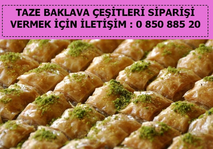 Kıbrıs Profiterol baklava çeşitleri baklava tepsisi fiyatı tatlı çeşitleri fiyatı ucuz baklava siparişi gönder yolla